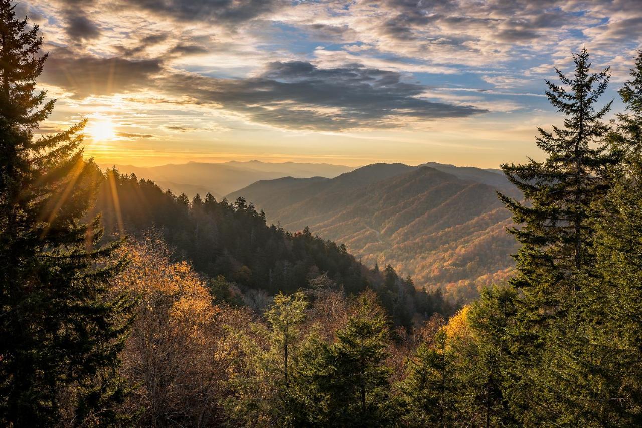 Апартаменти Misty Mountain Hideaway Піджен-Фордж Екстер'єр фото